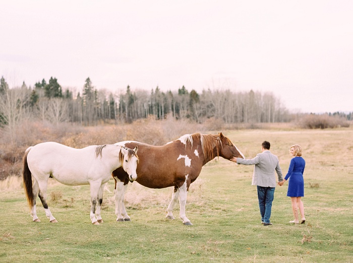 Calgary Wedding Photographers | Priddis Engagement Session | Justine Milton Photography | Horses