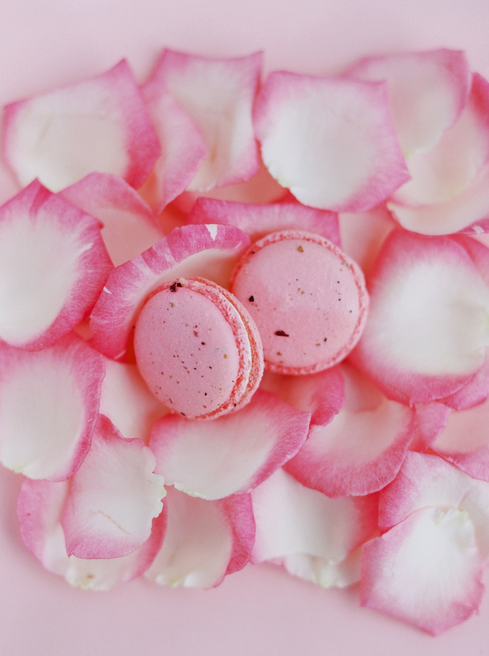 By Ollia Macarons | Food photography and styling | Calgary commercial advertising food photographer