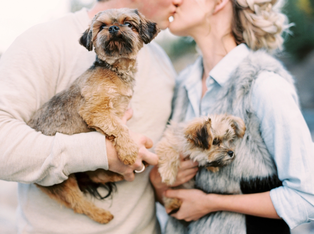 Calgary Wedding Photographers | Bragg Creek Anniversary Photos | Puppy | Photosession with dogs