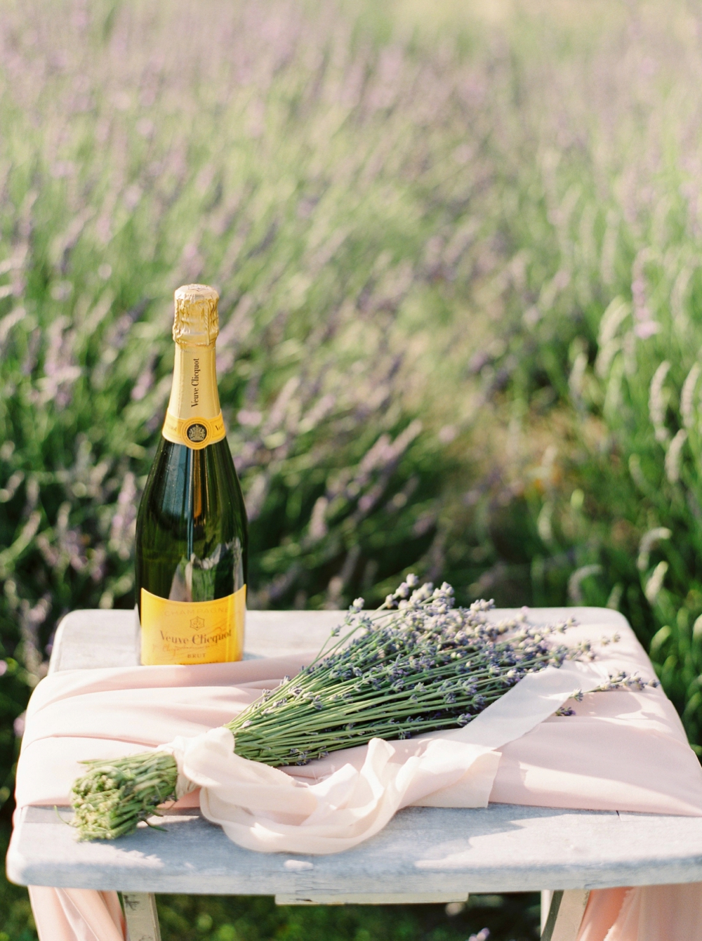 Lavender Fields | Kelowna Wedding and elopement photographer | Veuve Champagne | Justine Milton Photography