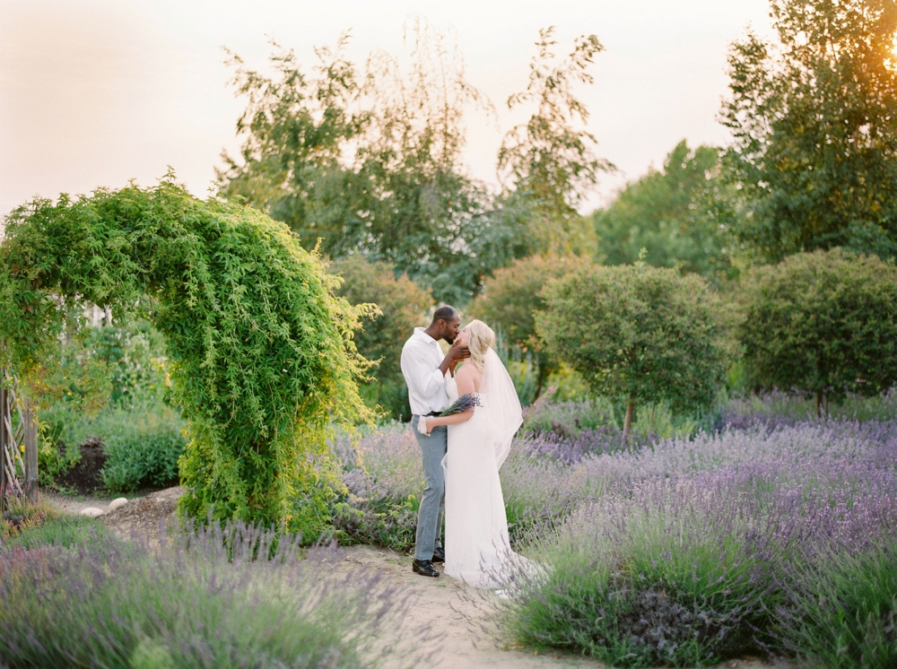 Lavender Fields | Kelowna Wedding and elopement photographer | Justine Milton Photography