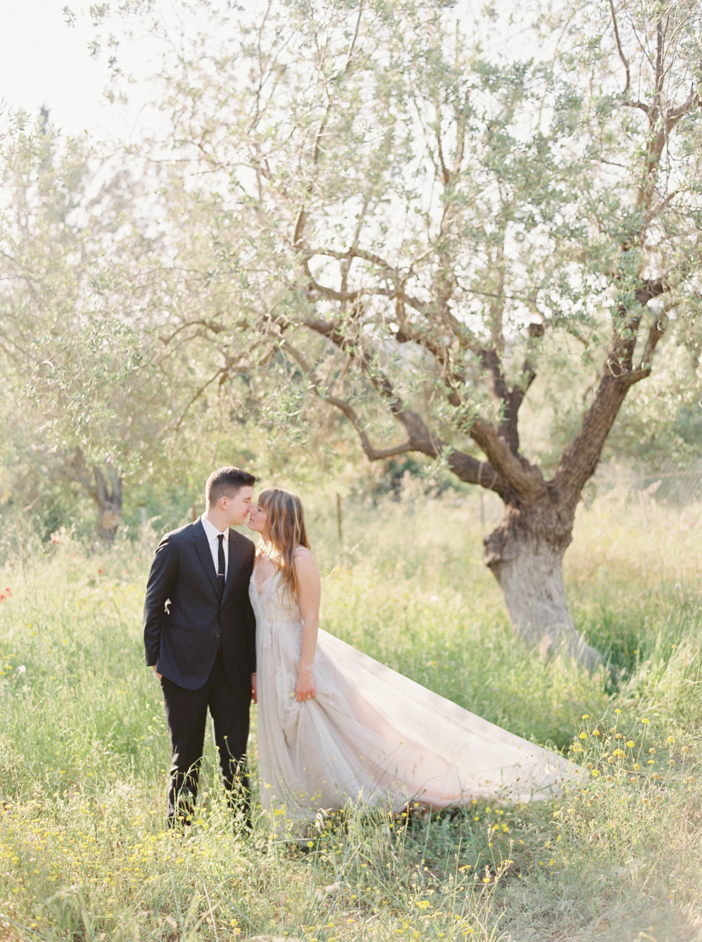 Greece wedding photographers | bride and groom in an olive grove | samuelle couture wedding dress