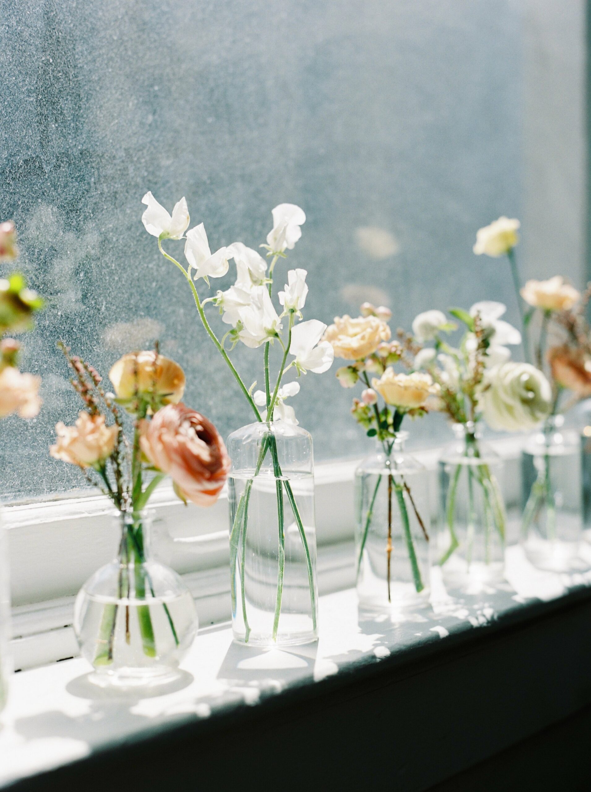  fall for florals | branding photographer | calgary wedding florist | film photographer 