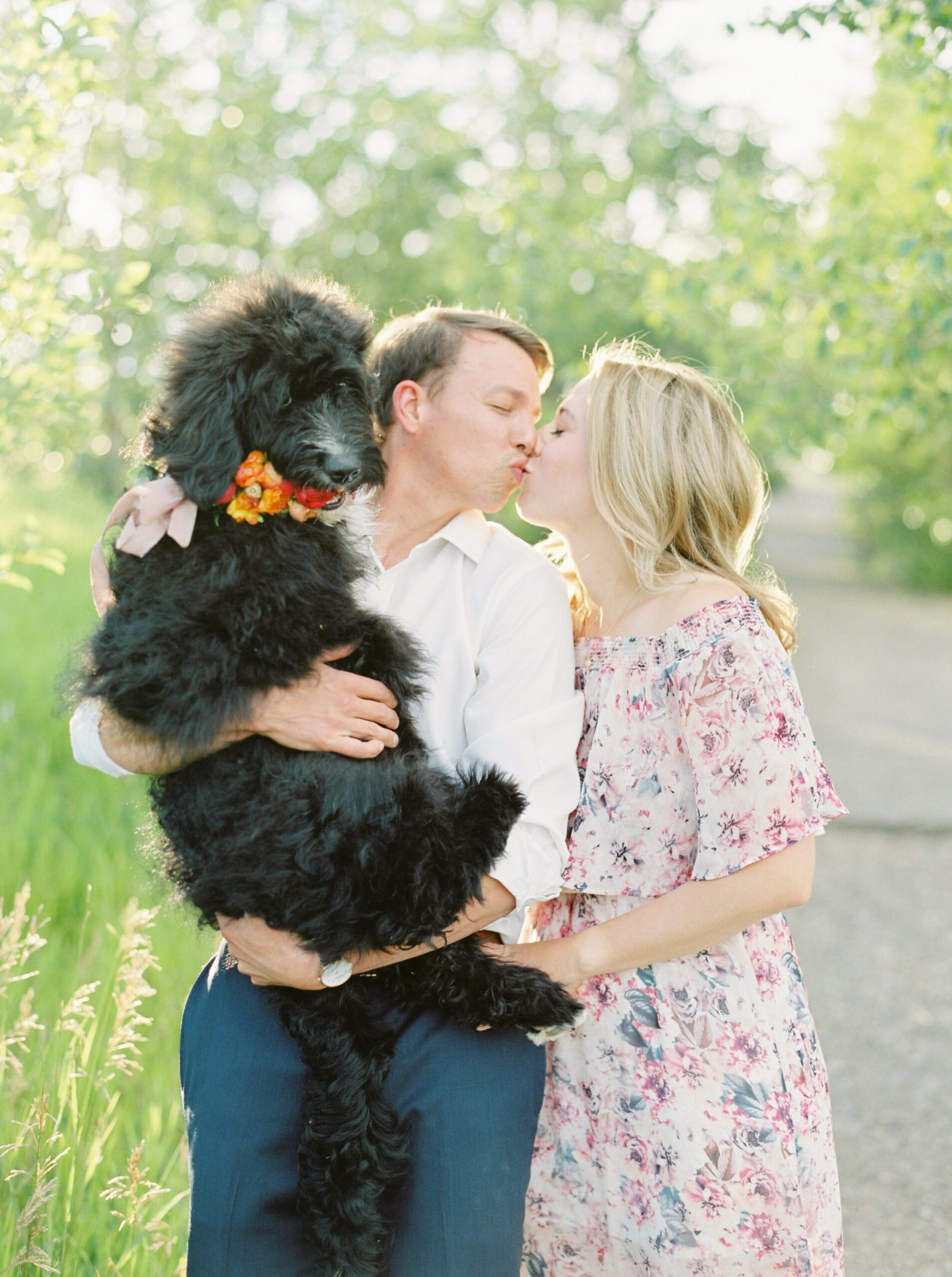  puppy with floral colar | nose hill park calgary summer engagement session | calgary fine art film wedding & engagement photographer justine milton 