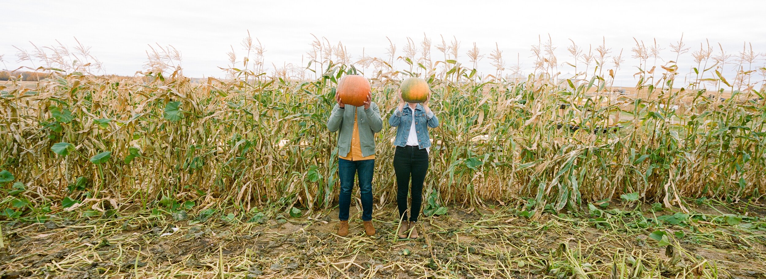  pumpkin patch engagement session | fall engagement session | landscape film photography 